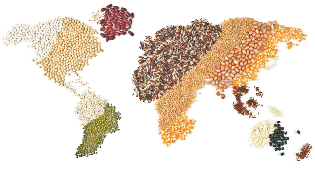 world grains map