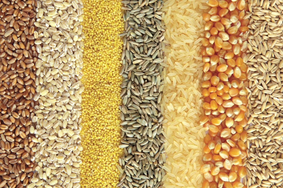 Image result for food grains
