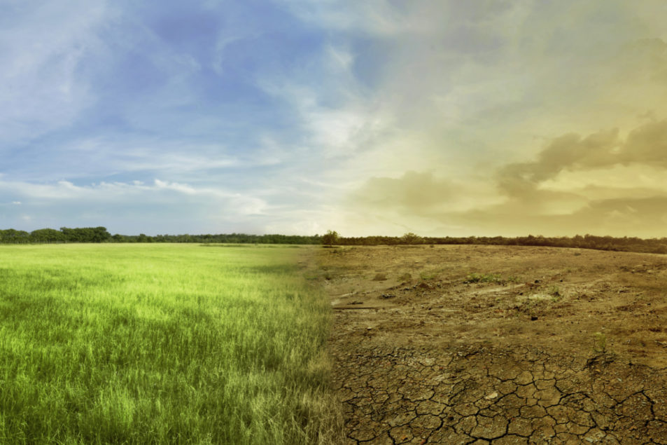 From the Editor: Addressing the climate change enigma - World Grain
