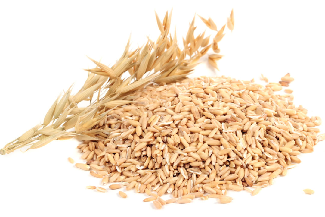 Raisio investing to make oat plant carbon neutral | 2020-06-17 | World Grain