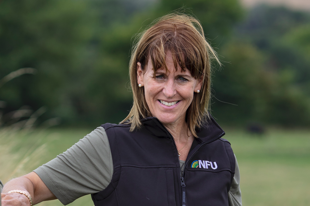 Minette Batters, president of the National Farmers’ Union of England and Wales
