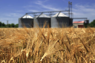 Wheat field with silos adobestock 54246480 e