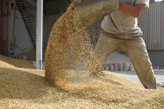 Eu feed sector facing many challenges grain e aug