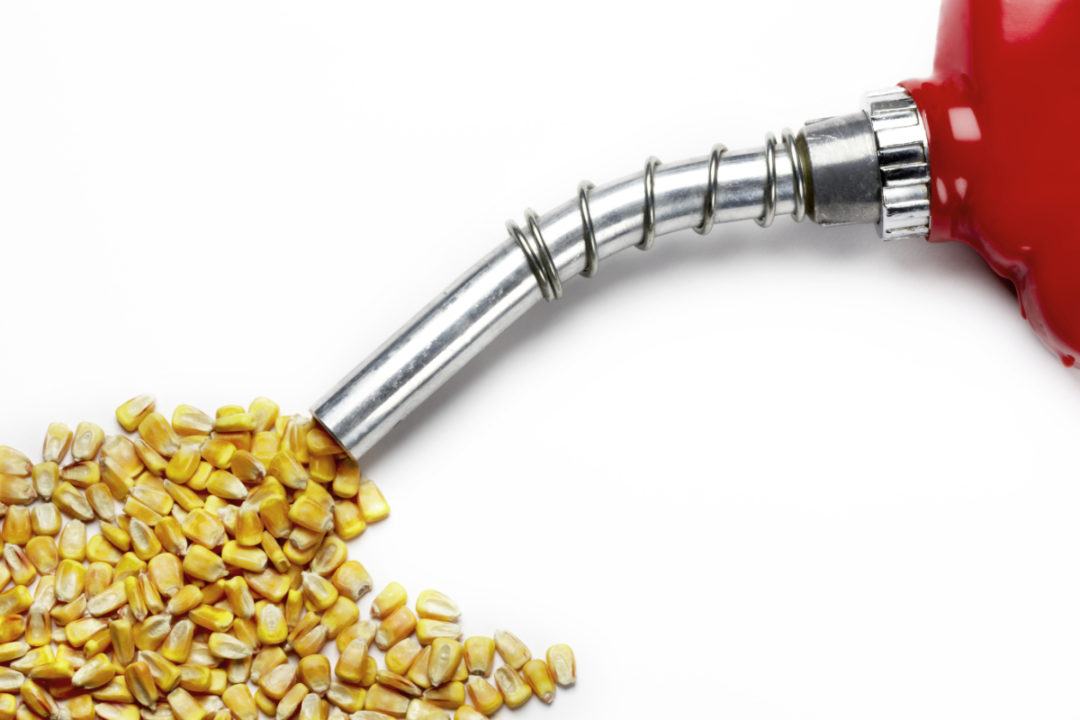 Brazil's ethanol production boosted by large corn crop ...