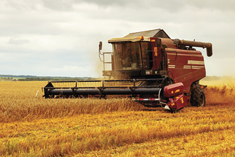 Weather hit crop means lower eu grains exports wheat harvest photo adobe stock e oct