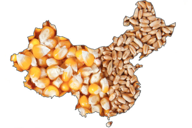 China grain map