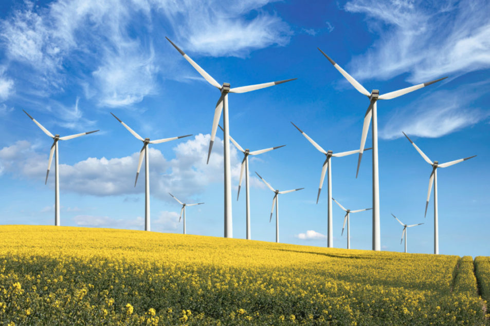 Bunge signs renewable energy pact | 2021-01-29 | World Grain
