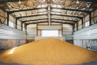 Corn grain storage adobestock 300668110 e