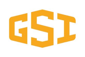 GSI logo color