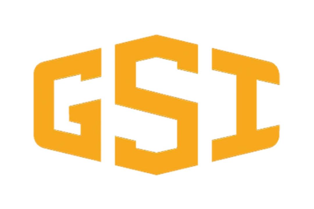 GSI logo color