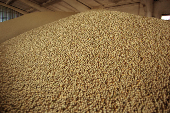 Platinum Crush to build soybean facility in Iowa