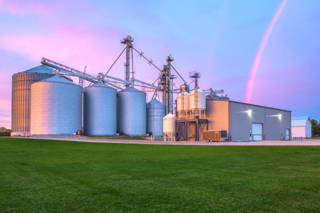 Scoular takes over ownership of Rogers Grain