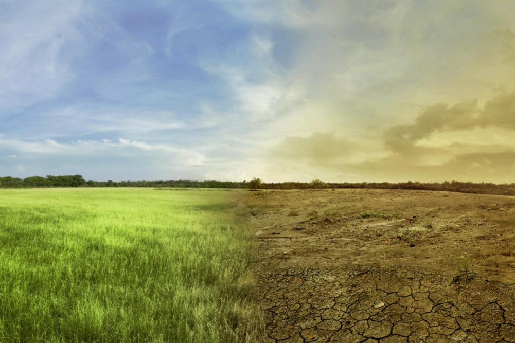 Climate change concept, healthy land next to unhealthy land