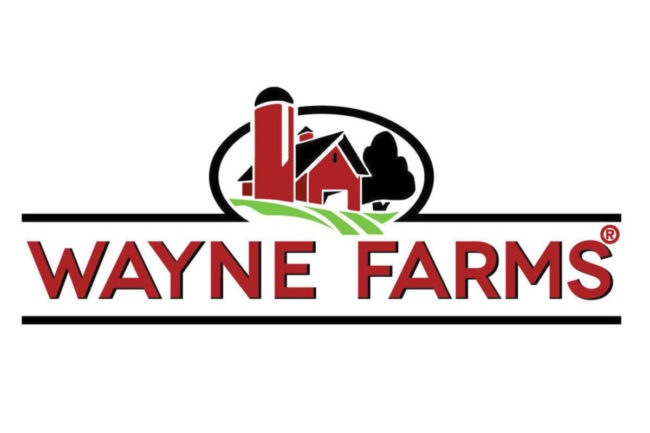 Wayne-farms.jpg